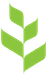 TOR Group Logo