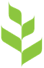 TOR Group Logo